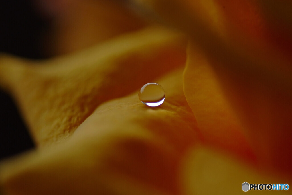静なる時✾雫