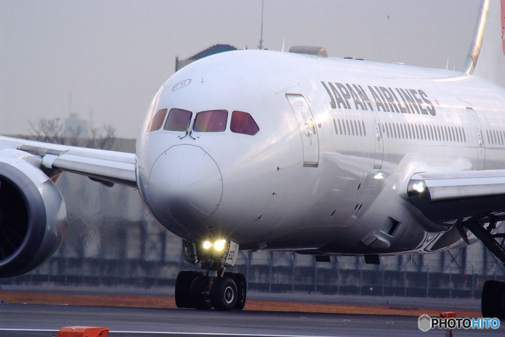 魅せれて・Boeing 787-8 Dreamliner 