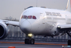 魅せれて・Boeing 787-8 Dreamliner 