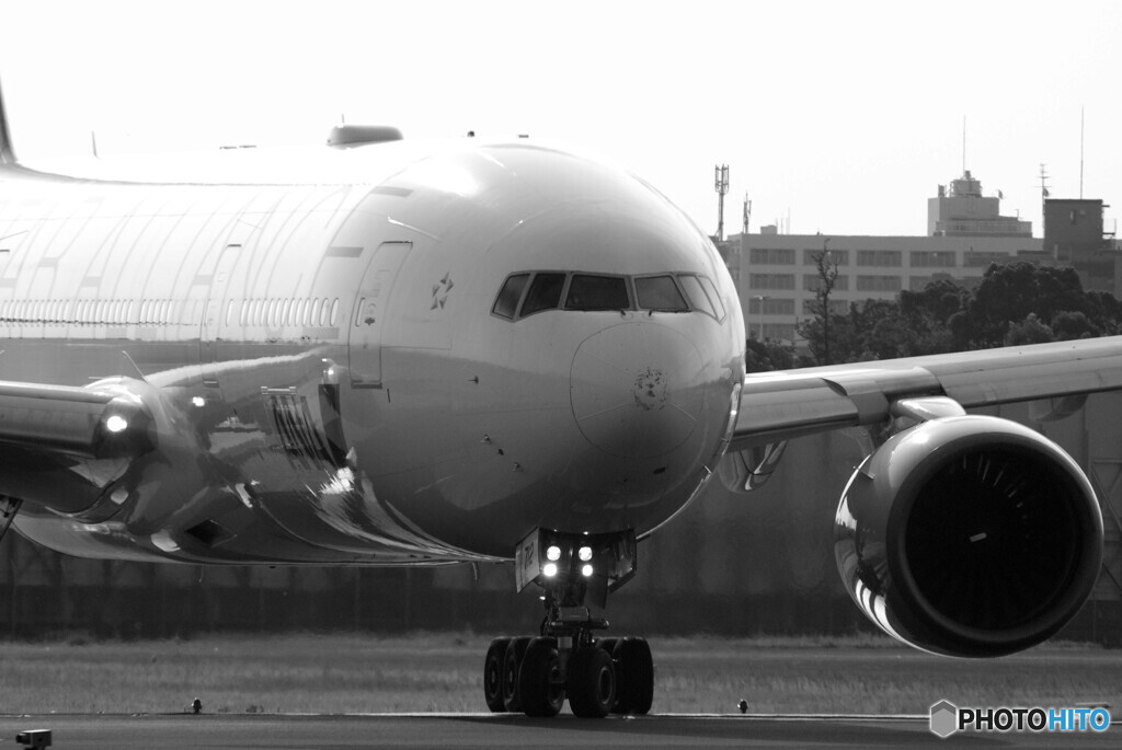 Morning★Star・ANA