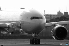 Morning★Star・ANA