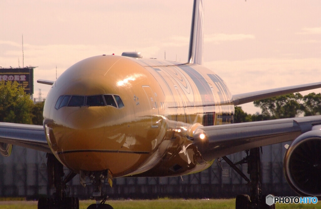 Sunday morningⅦ✈JA743A