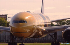 Sunday morningⅦ✈JA743A