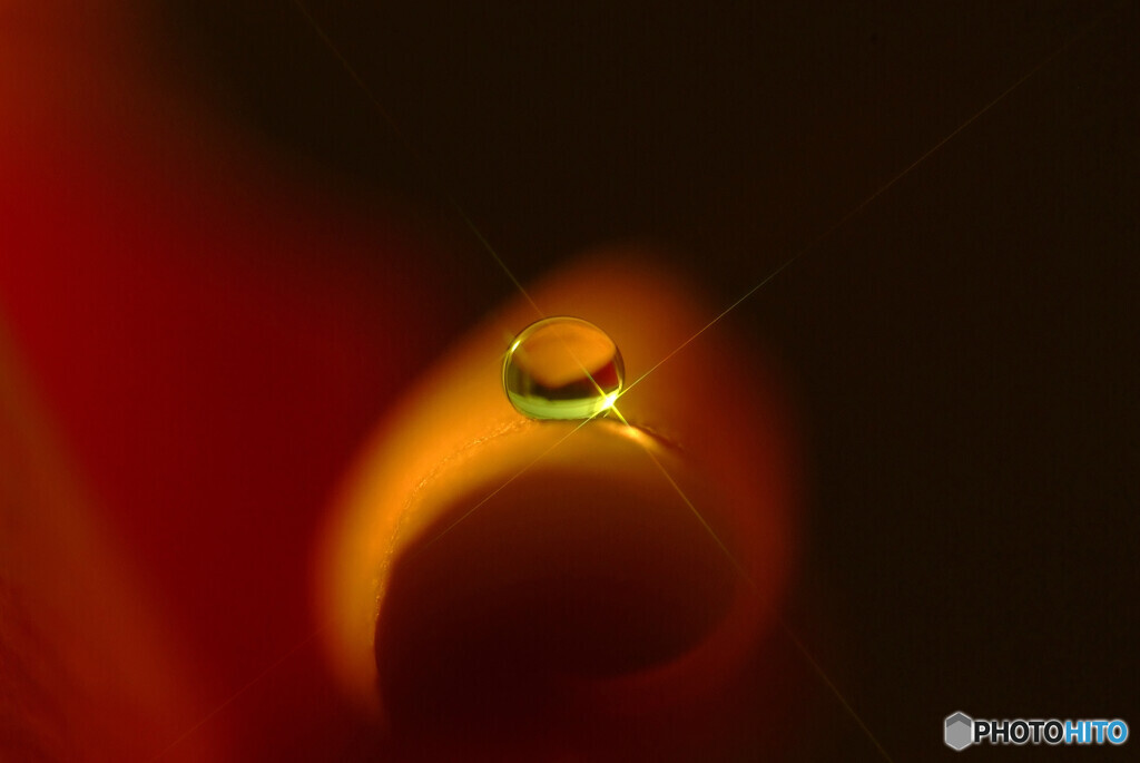 My Life➍✿雫月 by 文香パパ3 （ID：13396737） - 写真共有サイト