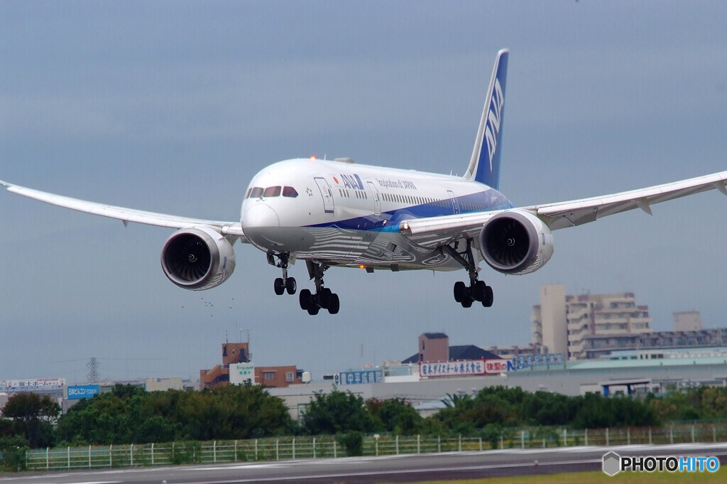 Happy Saturday✈787