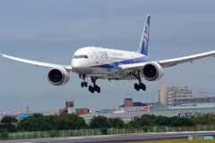 Happy Saturday✈787