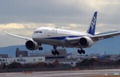 妄想の旅へⅩ✈Boeing 787-8 妄想の旅へⅩ✈Boeing 787-8