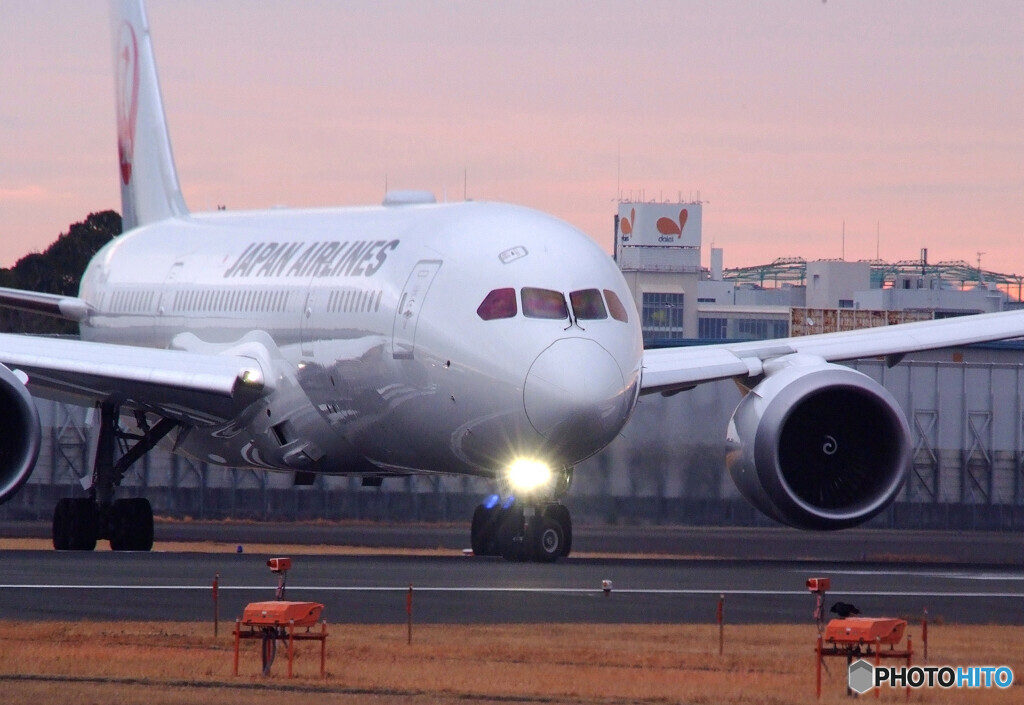 Good Face✈Dreamliner