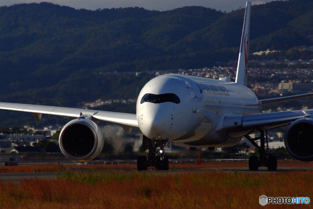 October AfternoonⅡ✈それぞれの旅路