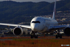 October AfternoonⅡ✈それぞれの旅路