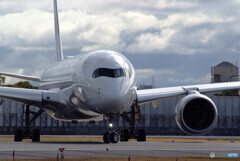 March morningⅩ✈Airbus A350-900
