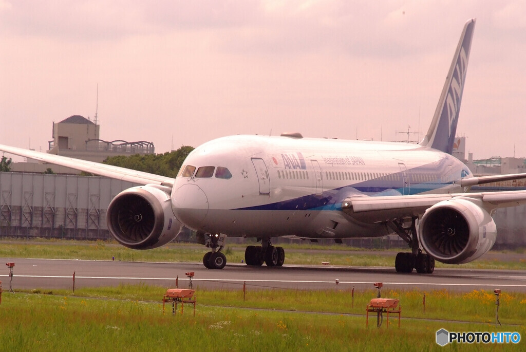 水無月の翼✈Dreamliner