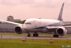 水無月の翼✈Dreamliner