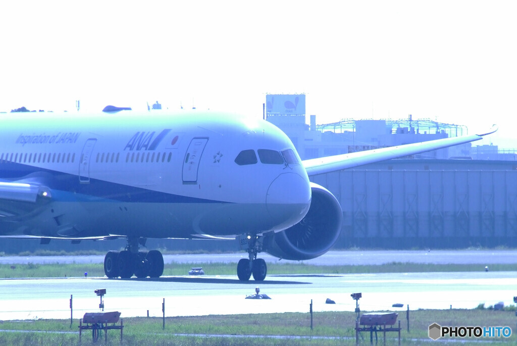 猛暑の翼✈HARADA