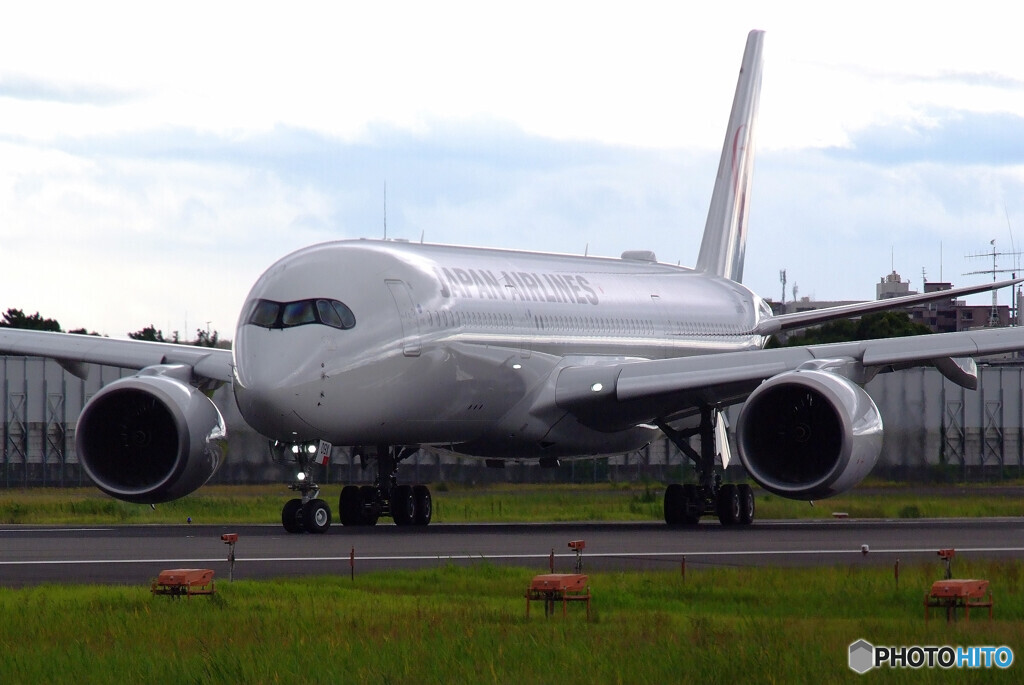 Delusional TripⅦ✈故郷へ2021