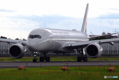 Delusional TripⅦ✈故郷へ2021