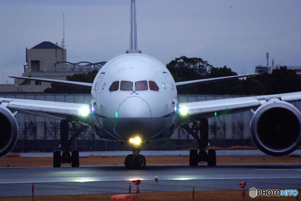 雨の滑走路Ⅲ✈Boeing 787-8