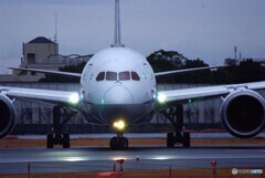 雨の滑走路Ⅲ✈Boeing 787-8