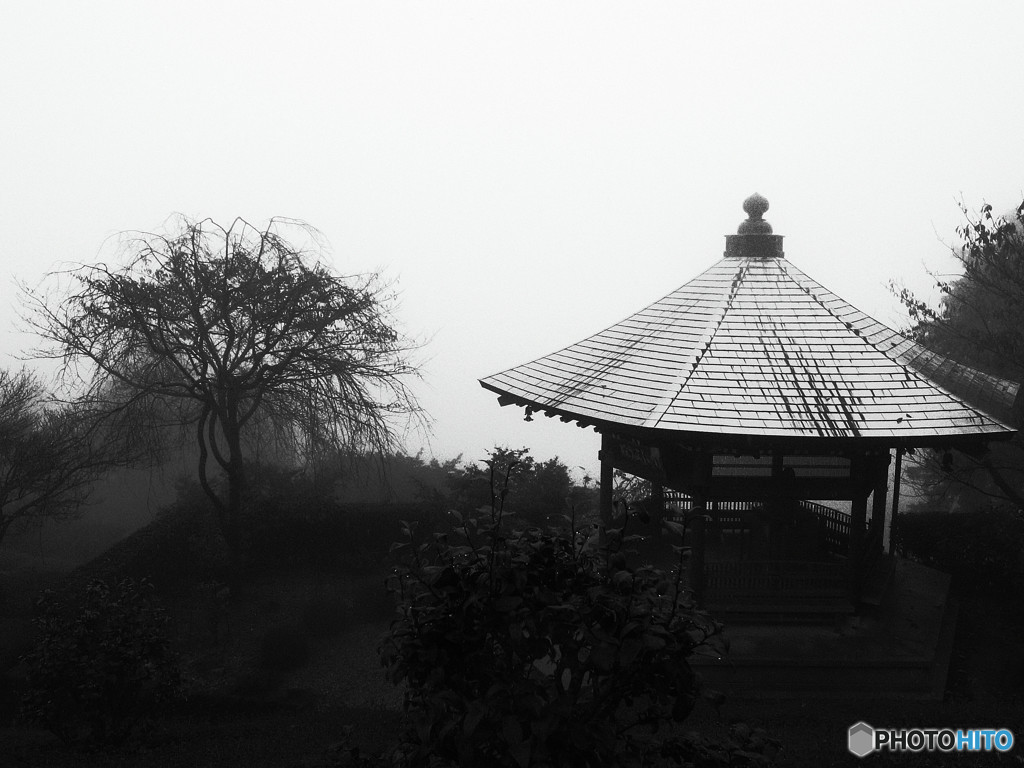 朝霧の善峰寺にて