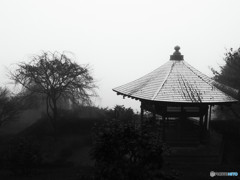 朝霧の善峰寺にて