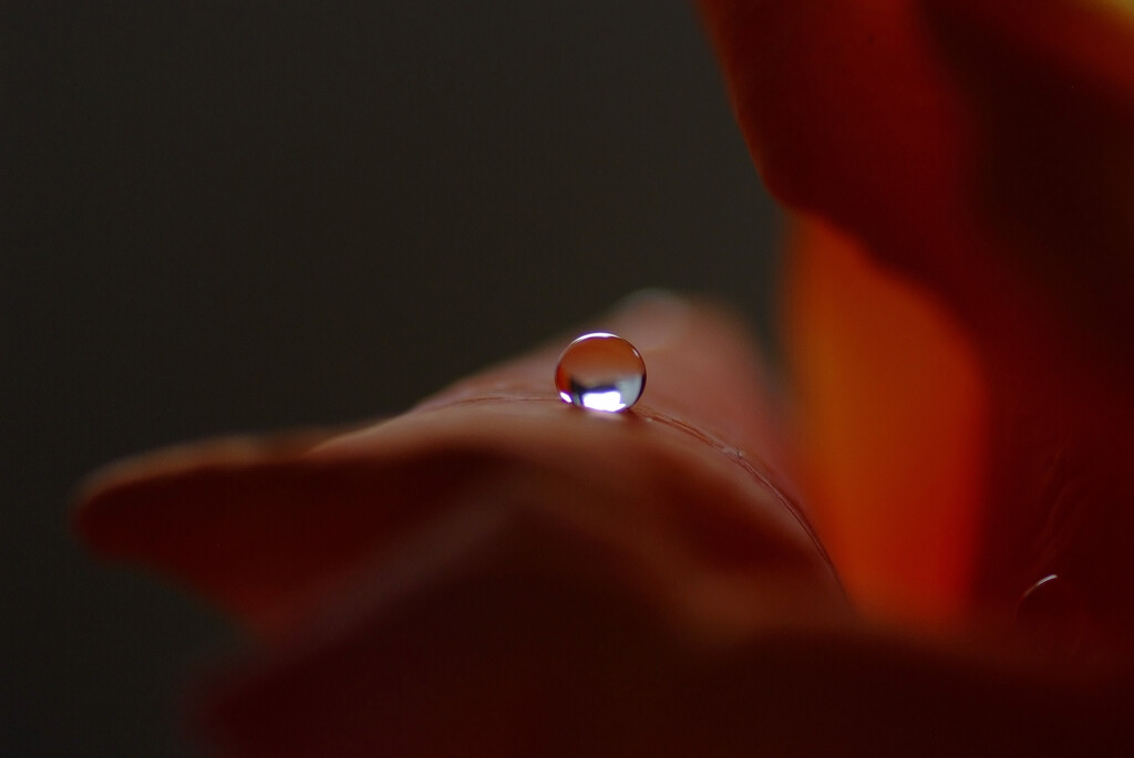 癒やしの時☂雫