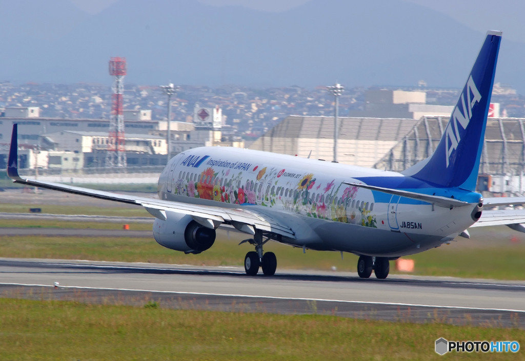 出撃・東北フラワージェット！