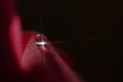 絆✿嘉月の十字架