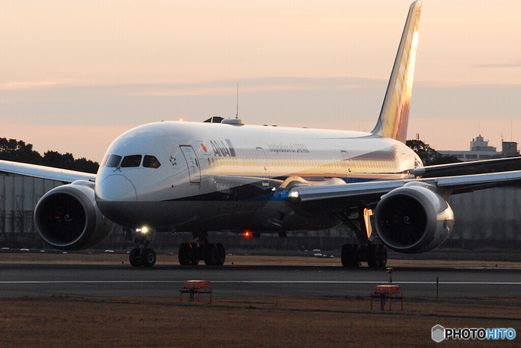俺の旅路✈Dreamliner