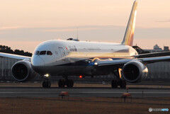 俺の旅路✈Dreamliner