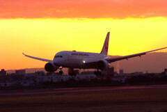 熱き光に✈Boeing787-8