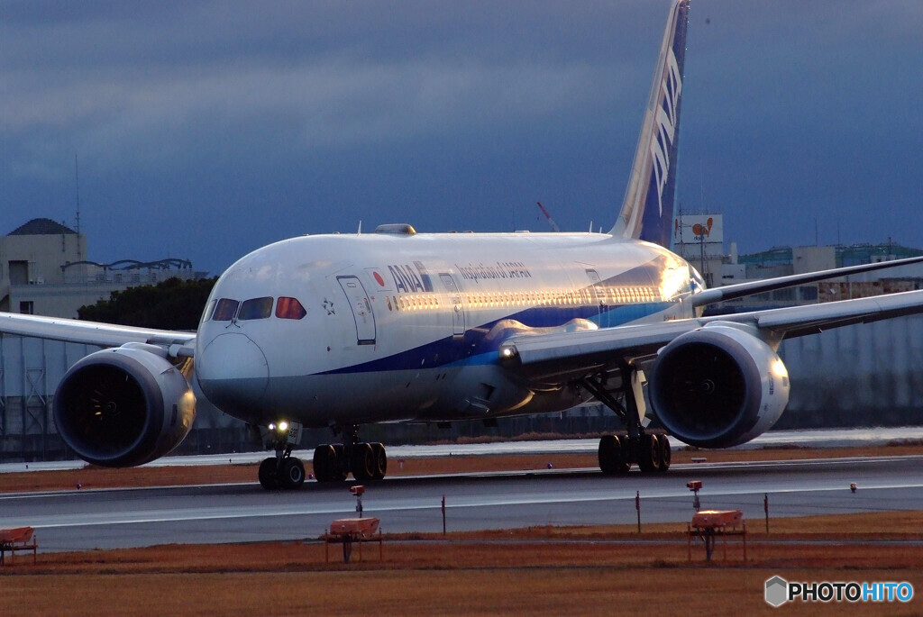 蒼の世界へ✈ANA Boeing 787-8