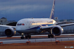 蒼の世界へ✈ANA Boeing 787-8