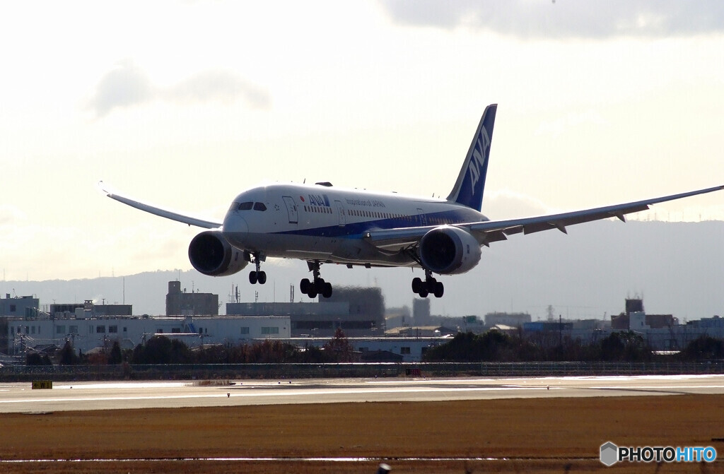 嘉月の翼✈Boeing787-8