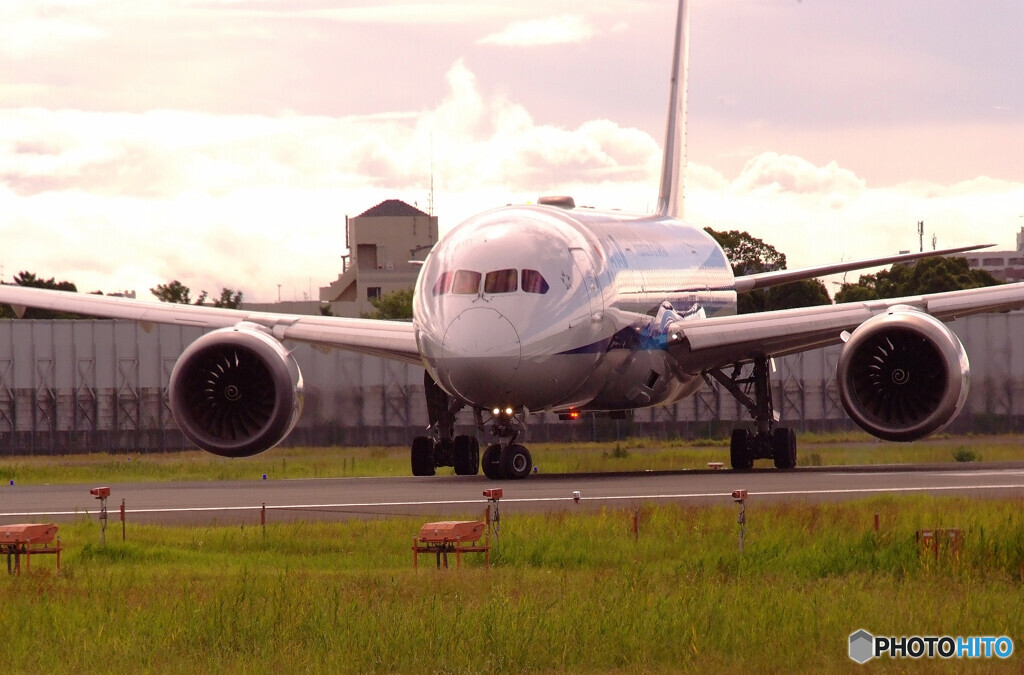 Delusional TripⅣ✈日本の空へ