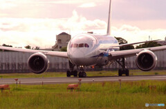 Delusional TripⅣ✈日本の空へ