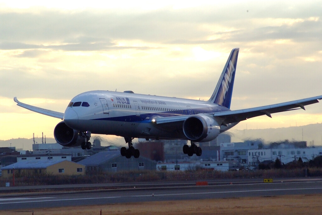 誘惑の空✈Boeing787-8