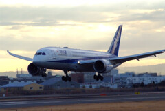 誘惑の空✈Boeing787-8