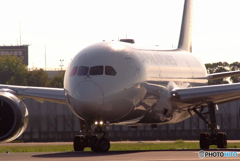 9月の旅人Ⅸ✈Boeing 787-8