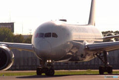 9月の旅人Ⅸ✈Boeing 787-8