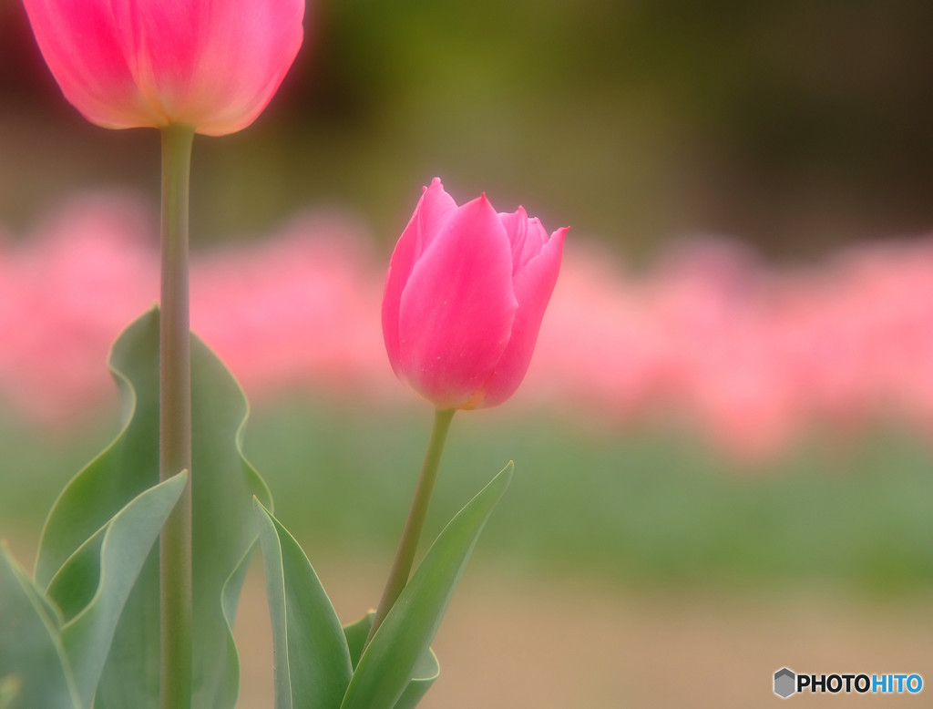 このまま君だけを奪い去りたい!