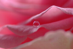 心静かに✿雫