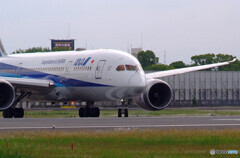 Morning Bird✈787-8