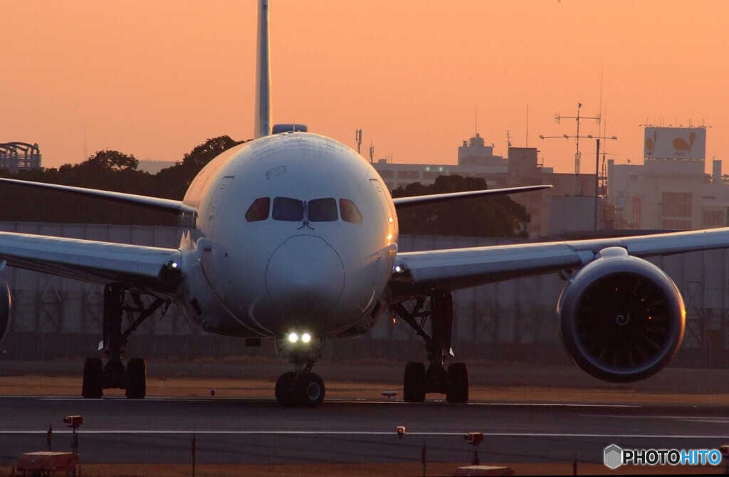 Japanese beautyⅣ✈787 Dreamliner