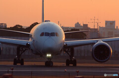 Japanese beautyⅣ✈787 Dreamliner