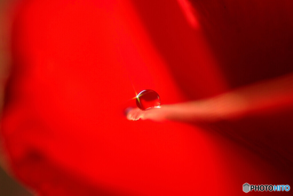 時間よ止まれ✾雫