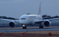 静寂の朝✈Boeing787-8