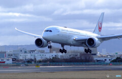 March morningⅣ✈787-8 Dreamliner