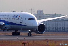 Dreamliner✈終わりなき旅へ