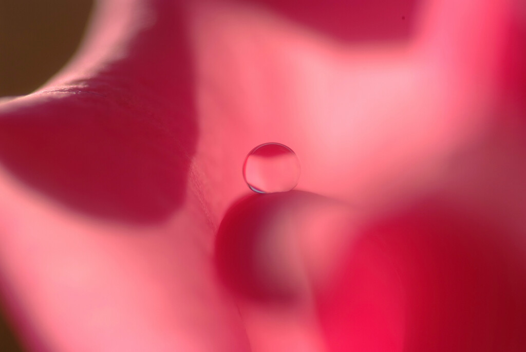 つなぐ想い✿睦月の瞳