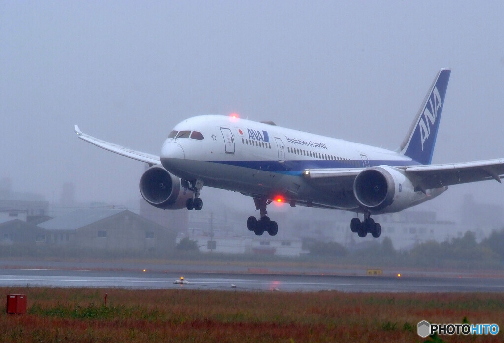 November RainⅡ✈HARADA